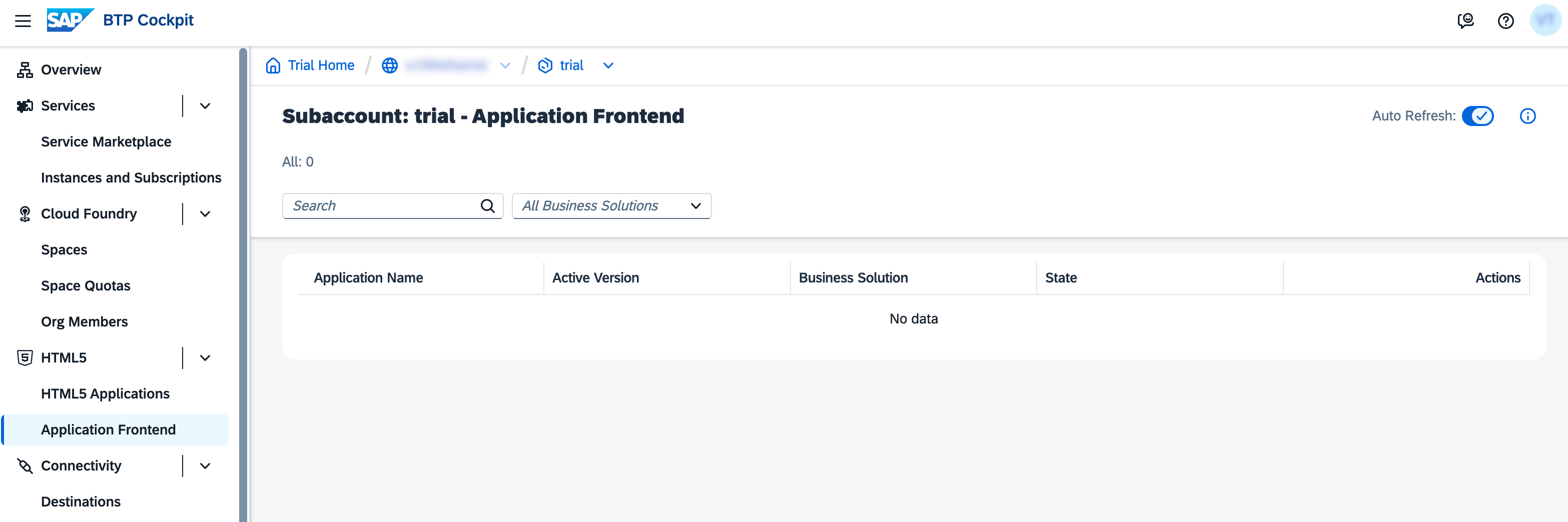 Application Frontend UI
